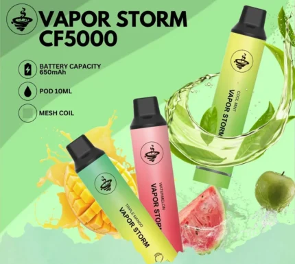 VAPOR STORM 風暴飛霧拋棄式CF5000 飛霧5000口一次性